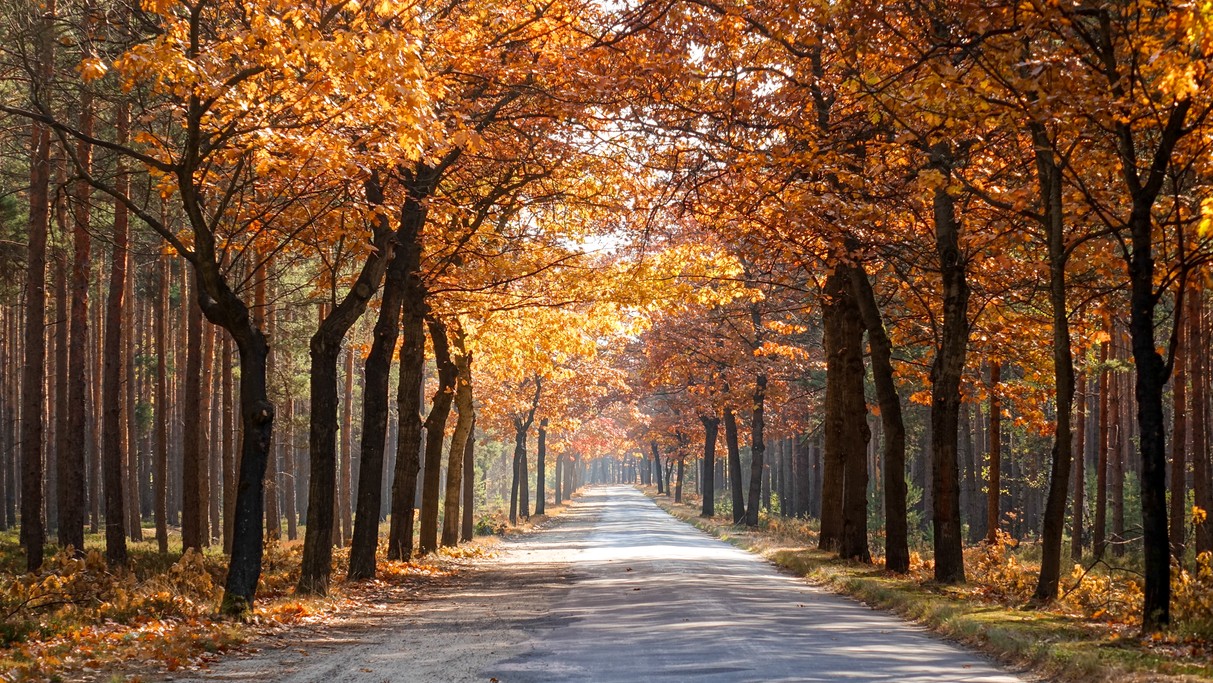Podróż przez jesienną Polskę - zdjęcie 5