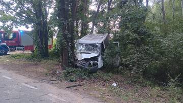 Bus z impetem uderzył w drzewo. Ranni wszyscy pasażerowie