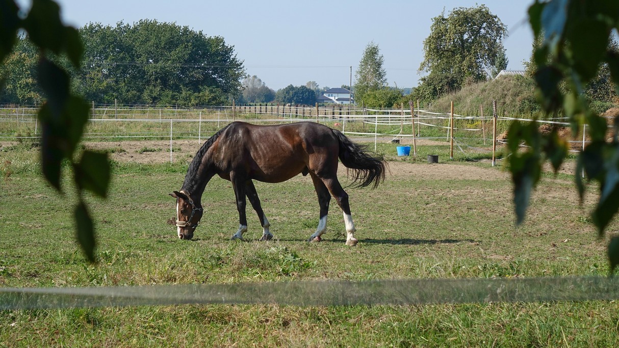 Wrzesień w obiektywie - zdjęcie 10