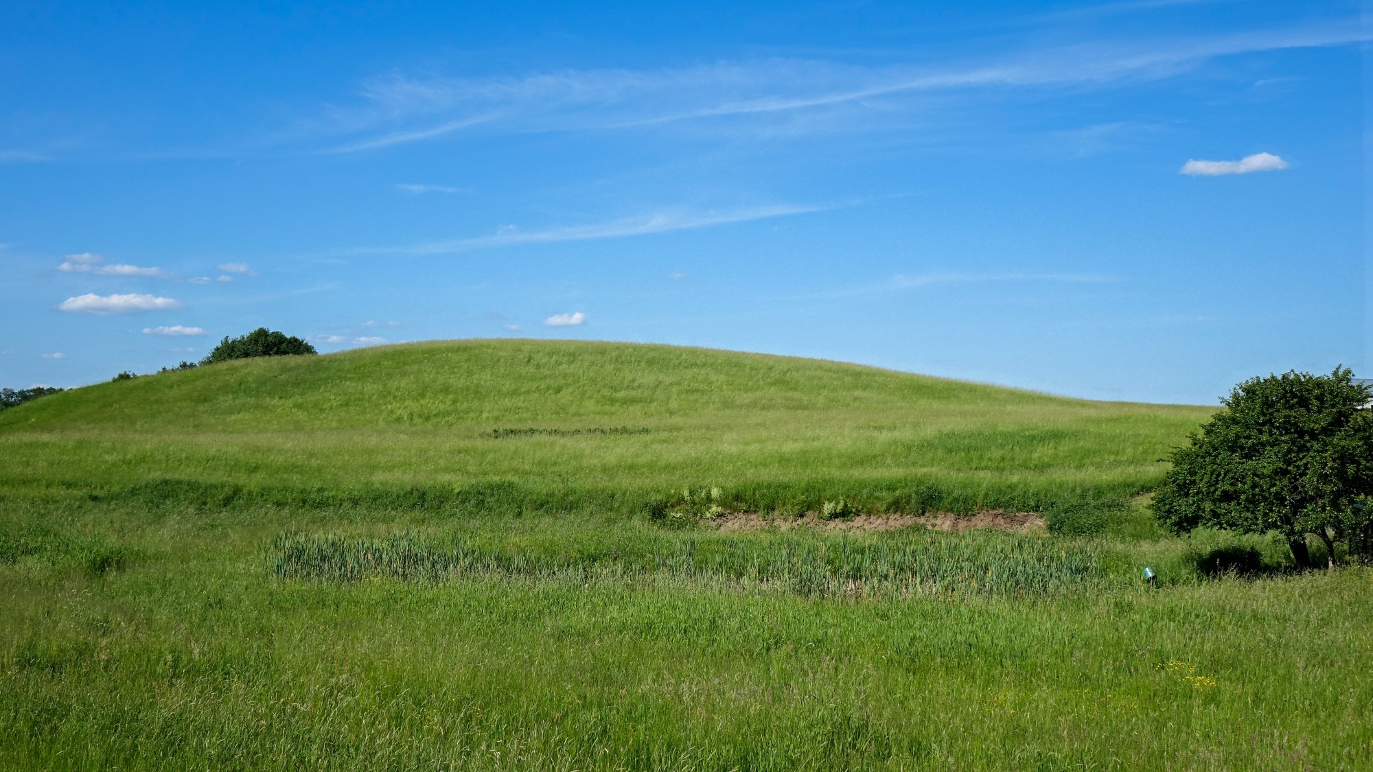 Czerwiec w obiektywie - zdjęcie 51