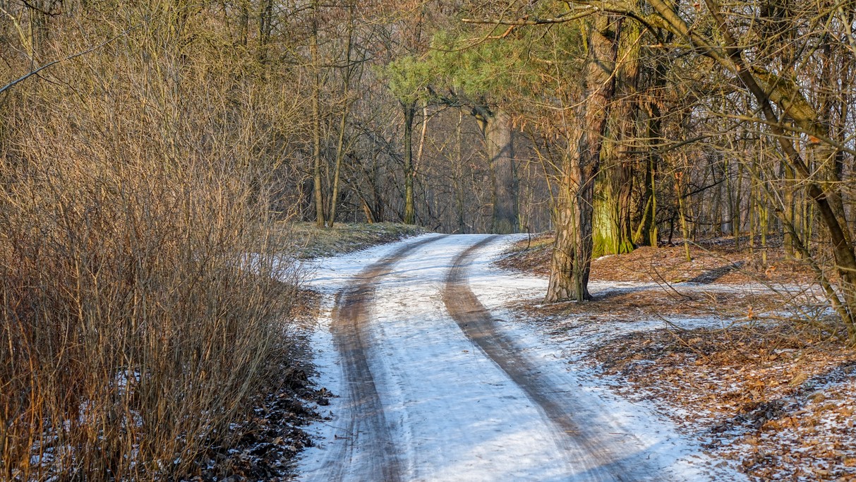 Styczeń w obiektywie - zdjęcie 9