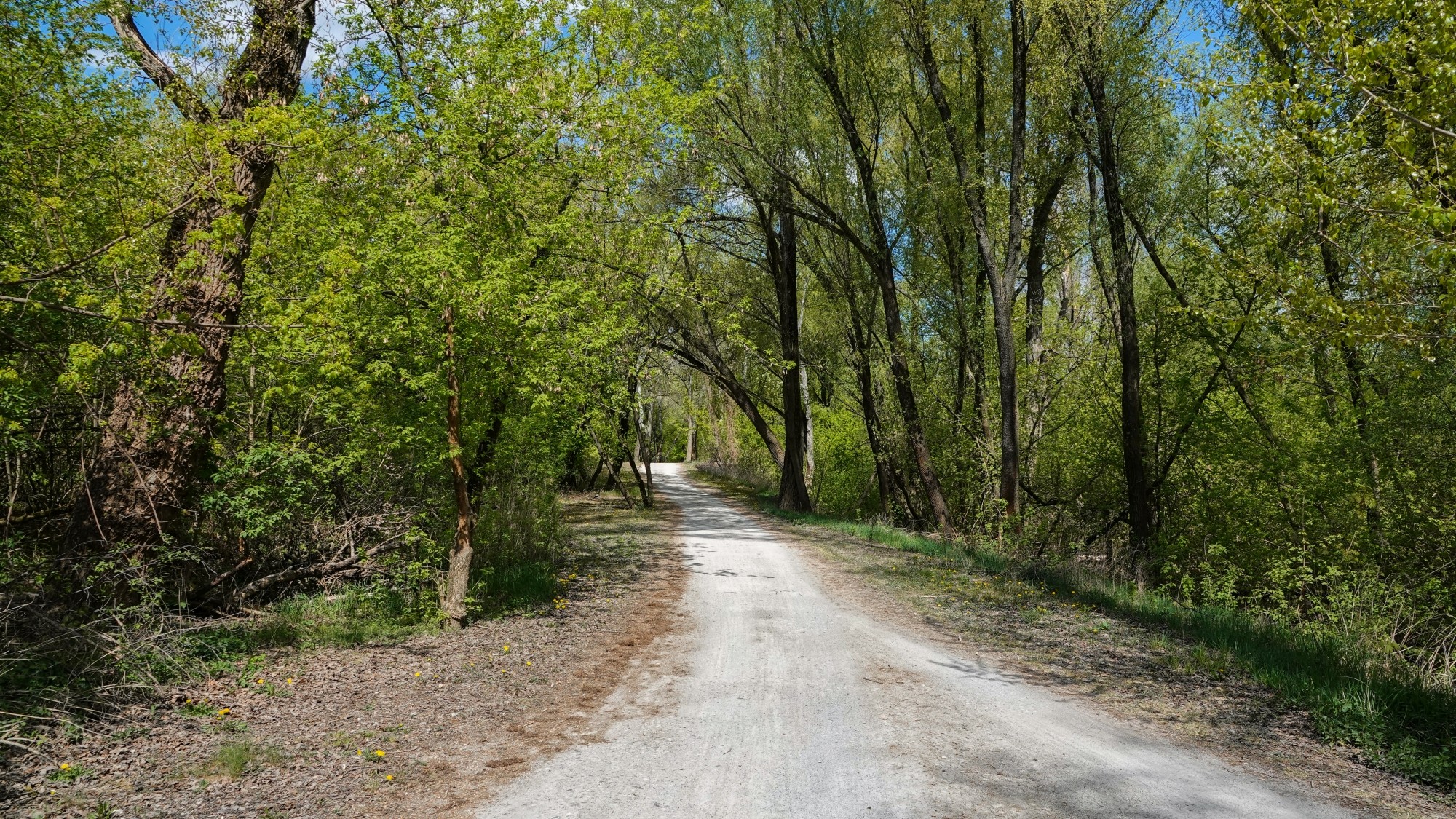 Całe piękno późnej wiosny - zdjęcie 16