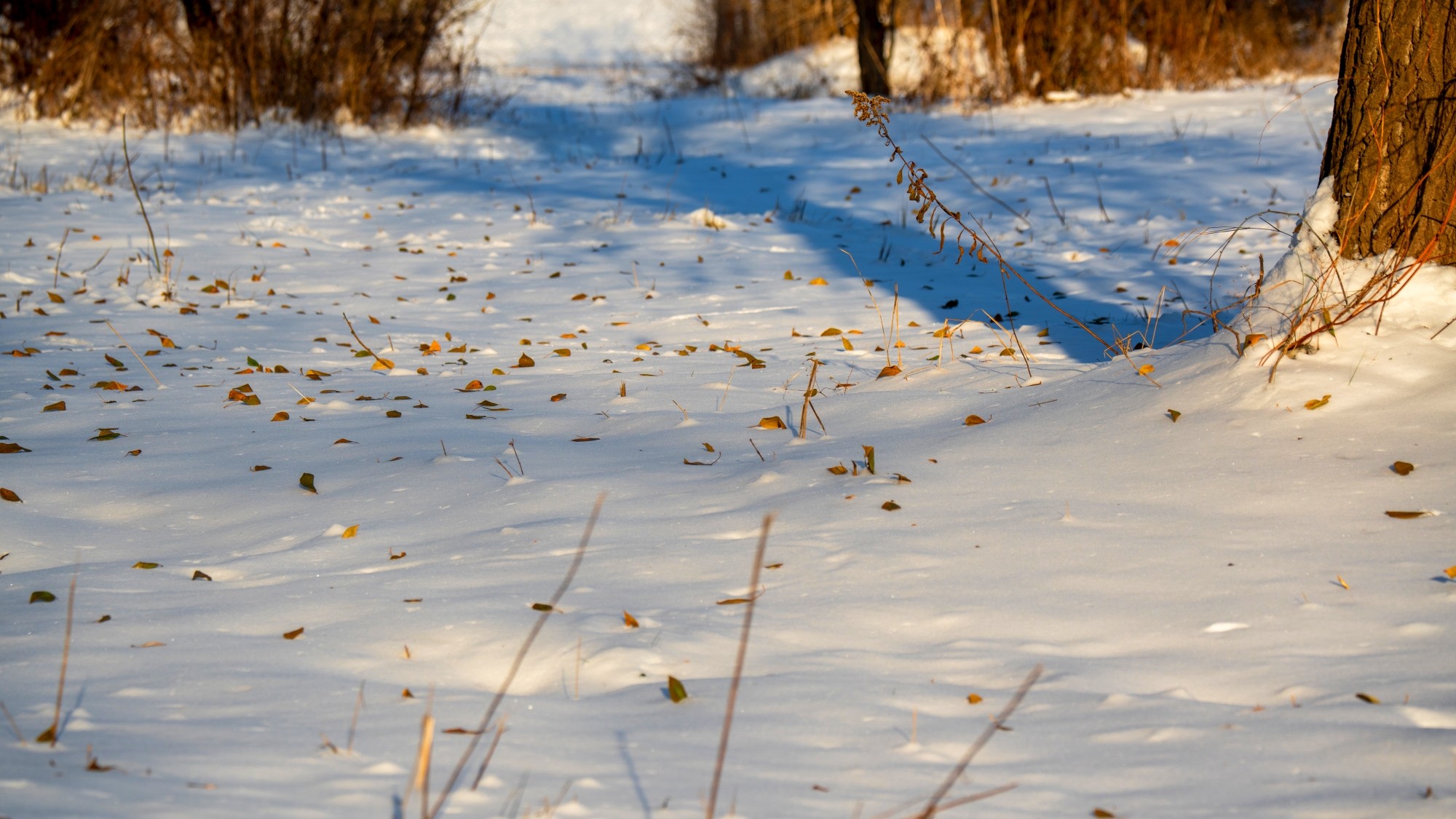 Różne oblicza zimy - zdjęcie 33