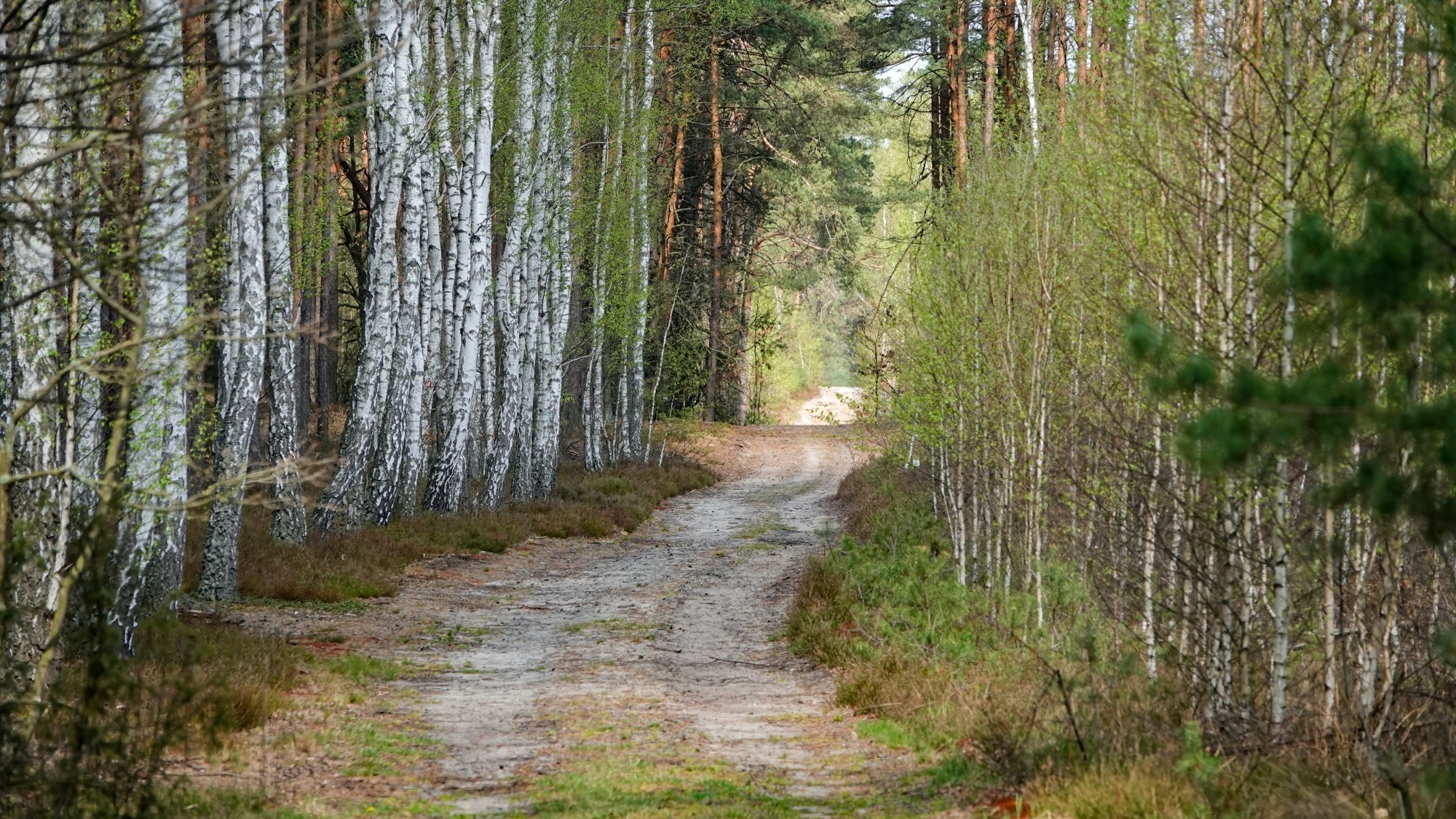Kwiecień w obiektywie - zdjęcie 53