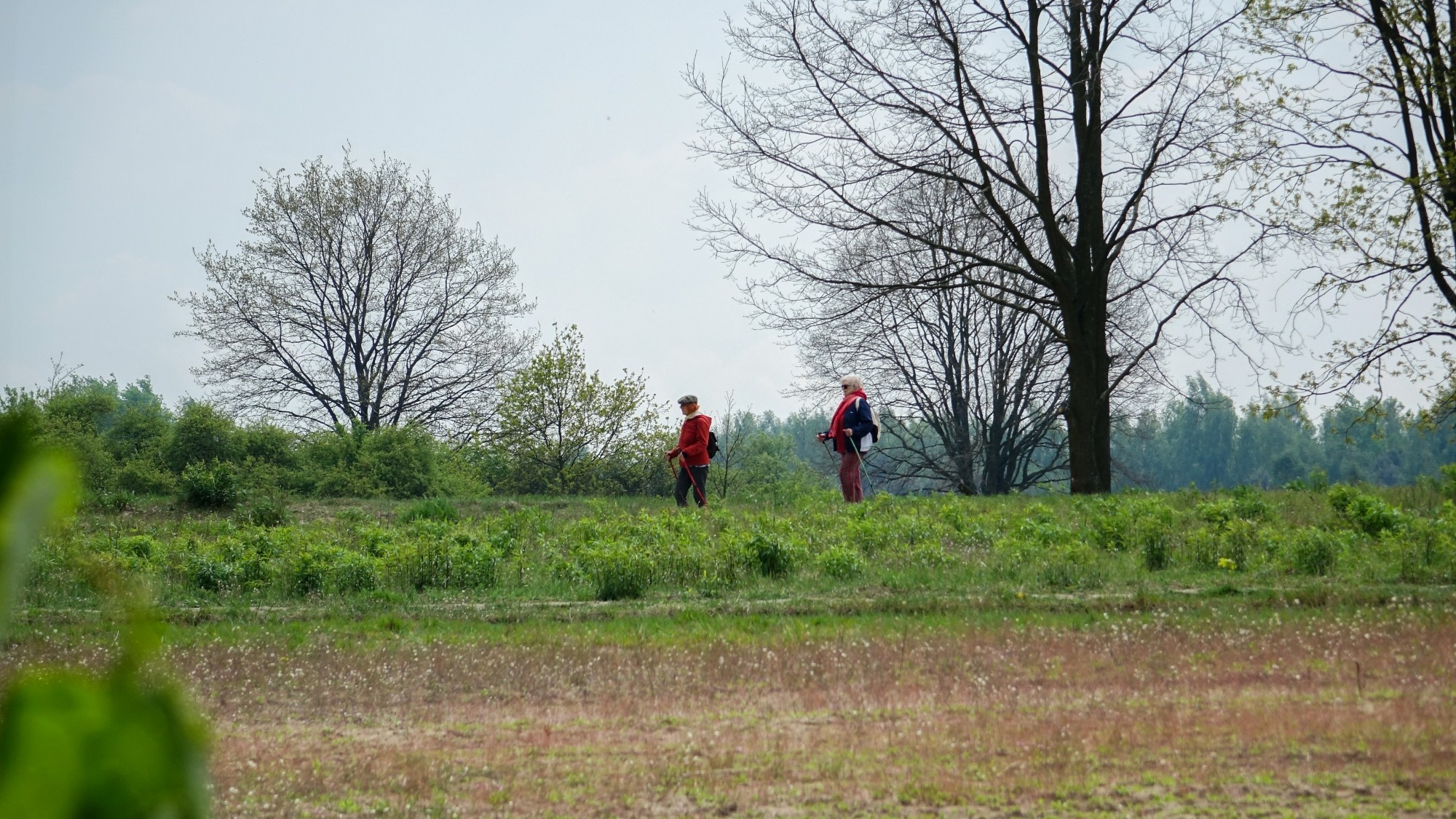Maj w obiektywie - zdjęcie 63