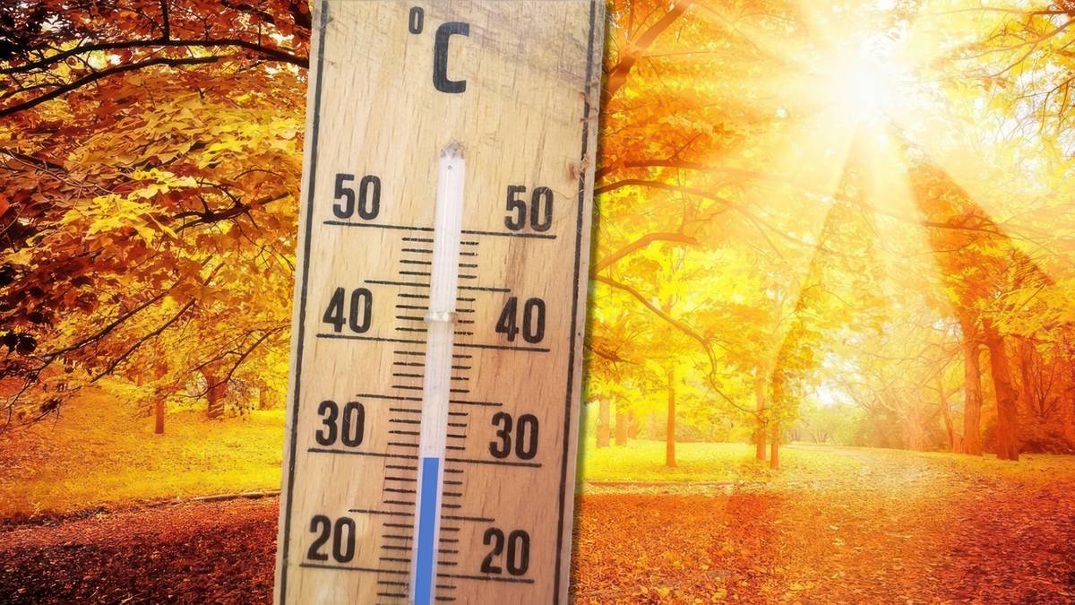 Takiego babiego lata jeszcze nie mieliśmy. choćby 29 stopni