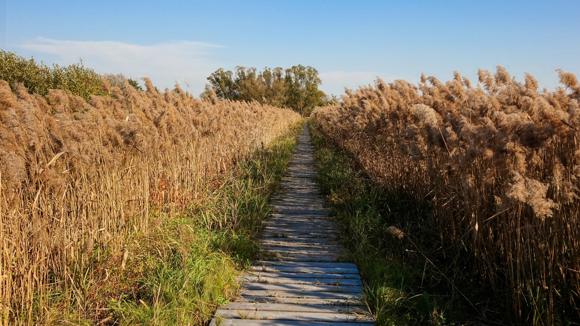 Drogą do raju - zdjęcie 4