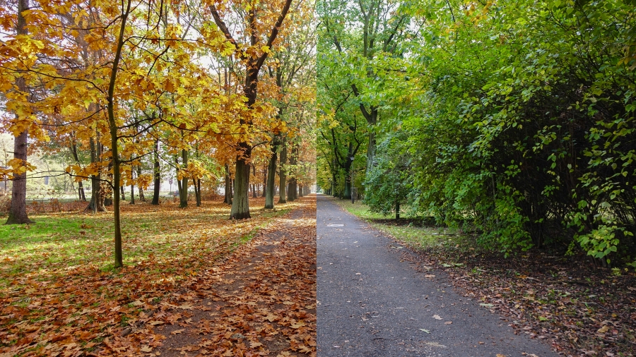 Porównanie jesieni 18 października w 2017 roku (po lewej) i w 2016 roku (po prawej). Fot. TwojaPogoda.pl
