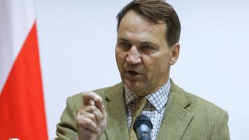 Sikorski upomina Zachód. "To Ukraińcy będą nas szkolić"