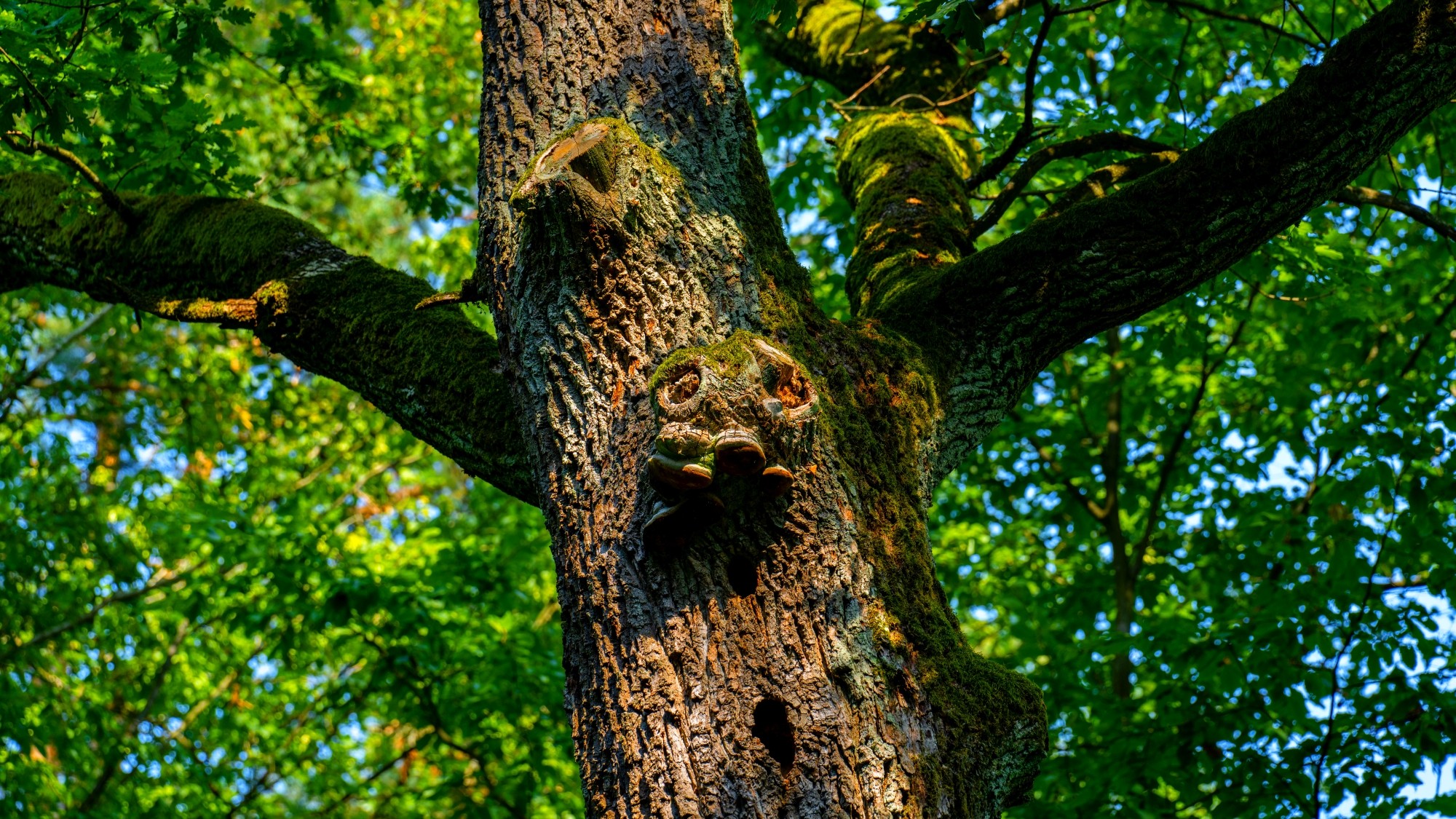 Wśród natury - zdjęcie 33