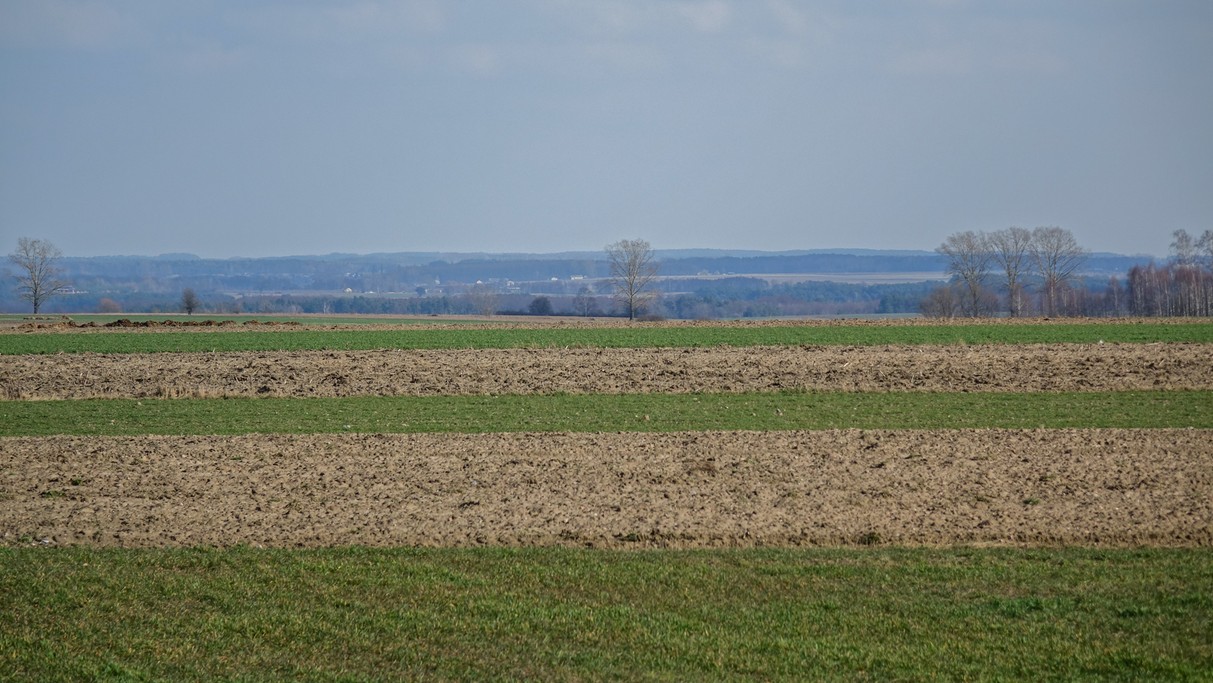 Marzec w obiektywie - zdjęcie 47