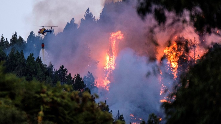 Pożary lasów na wyspie Gran Canaria. Ewakuowano 2000 osób