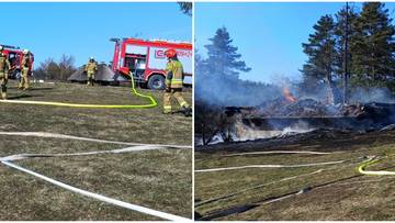 Dwa obrazy przedstawiające akcję straży pożarnej. Lewy obraz pokazuje strażak&oacute;w z wozami strażackimi i wężami gaśniczymi na trawiastym terenie. Prawy obraz pokazuje płonący budynek w lesie, z dymem unoszącym się w powietrzu i wężami gaśniczymi rozłożonymi na ziemi.