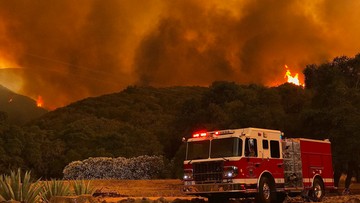 Rekordowe upały w Kalifornii. Odnotowano 17 pożarów lasów