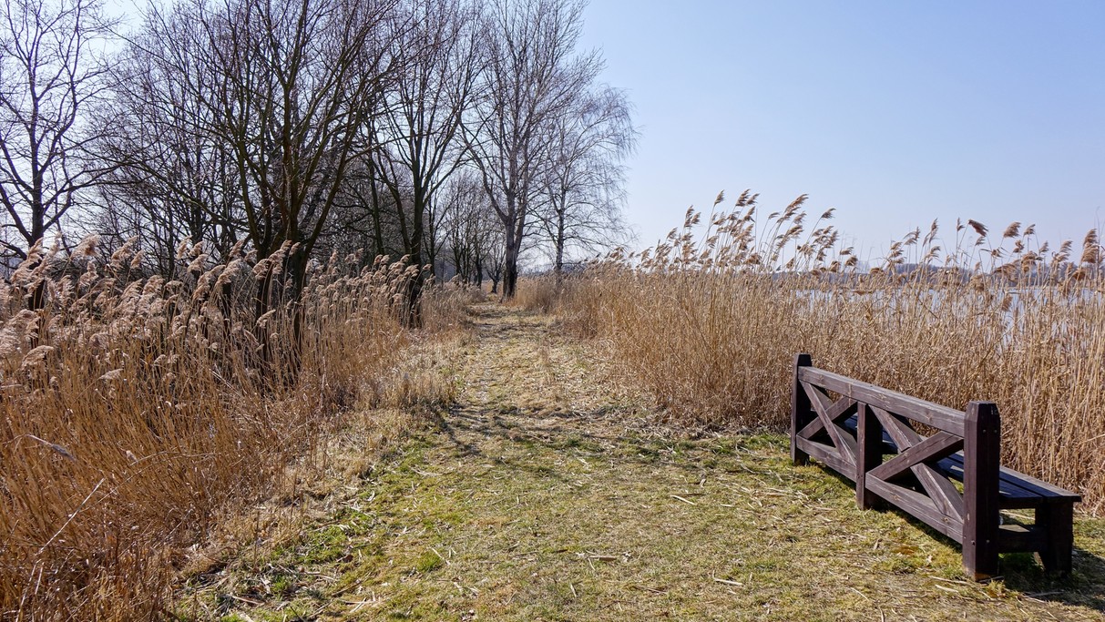 Marzec w obiektywie - zdjęcie 35