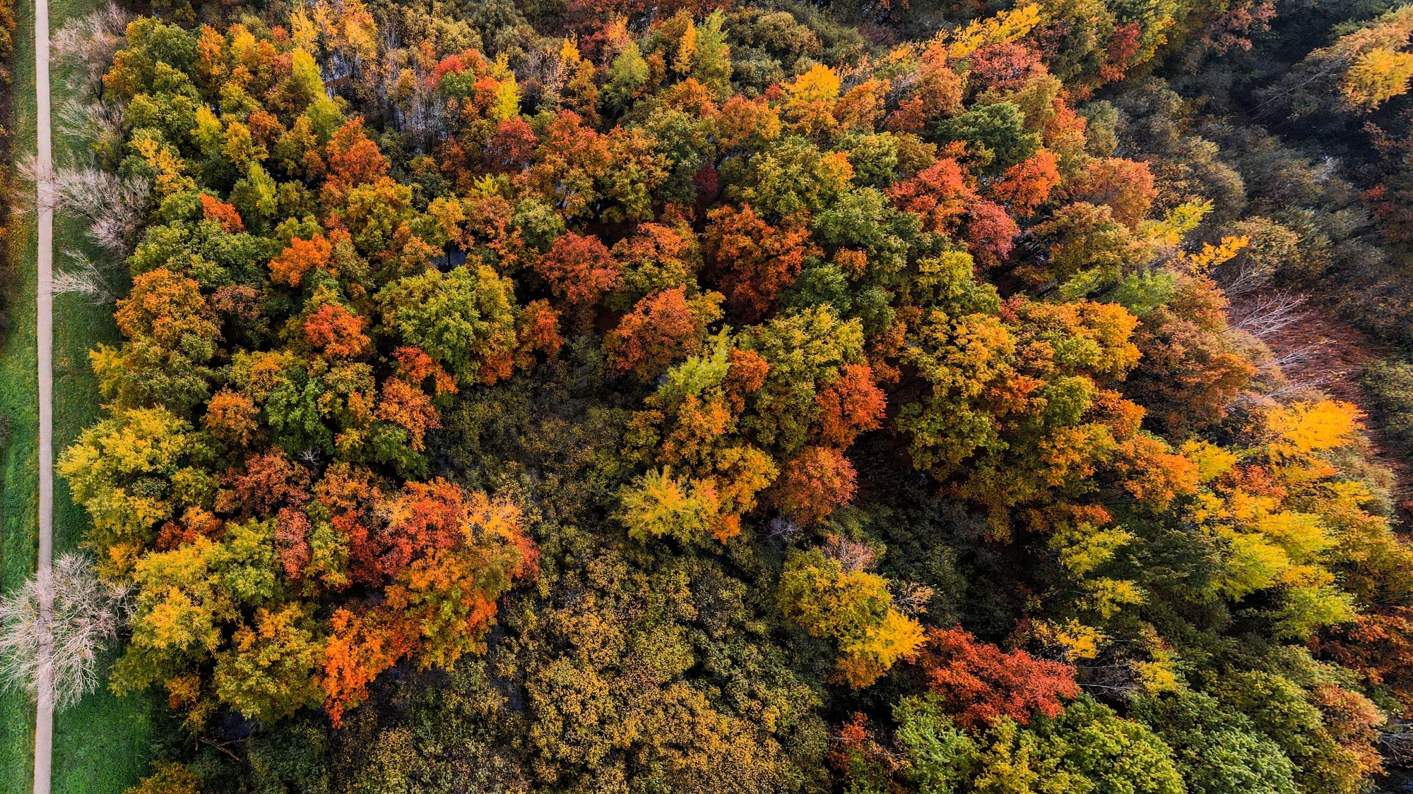 Jesień w Polsce z lotu ptaka - zdjęcie 7