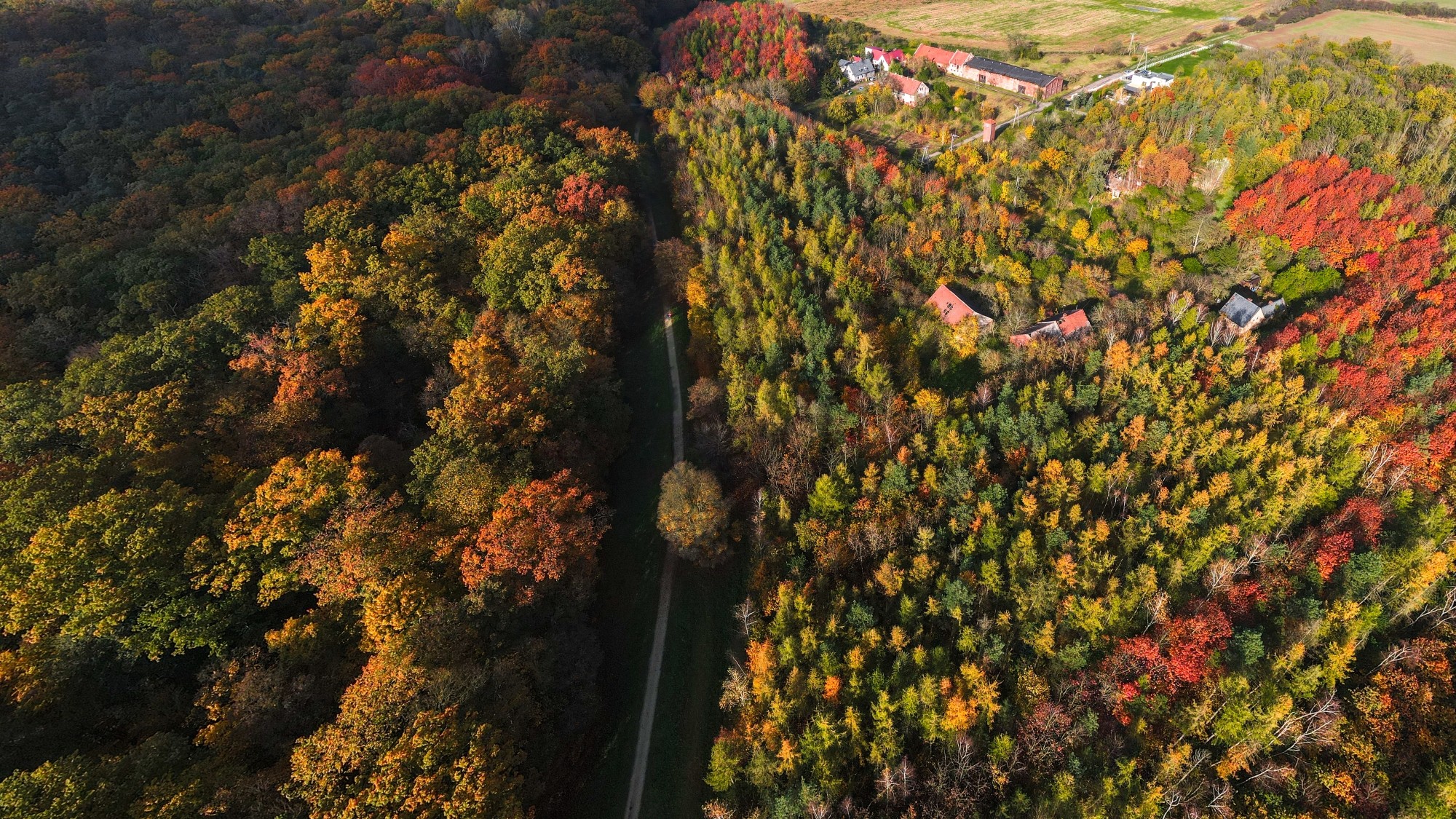 Jesień w Polsce z lotu ptaka - zdjęcie 26