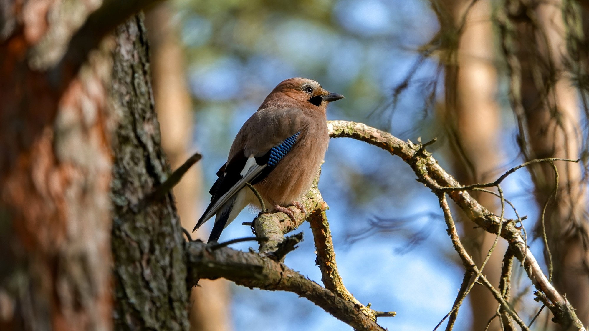 100 najpiękniejszych zdjęć 2020 roku - zdjęcie 66