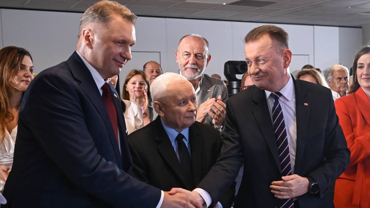 PiS chce deportować bezrobotnych Ukraińców. "Będą mieli okazję walczyć"