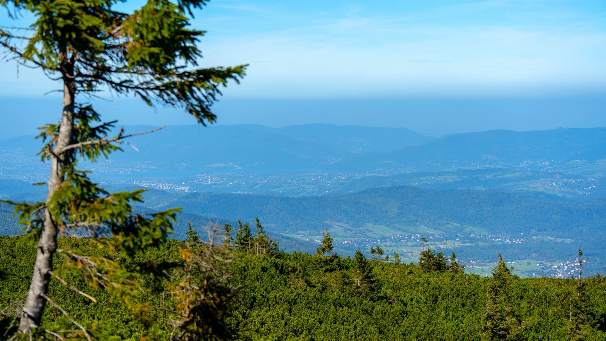 Kolory lata - zdjęcie 14