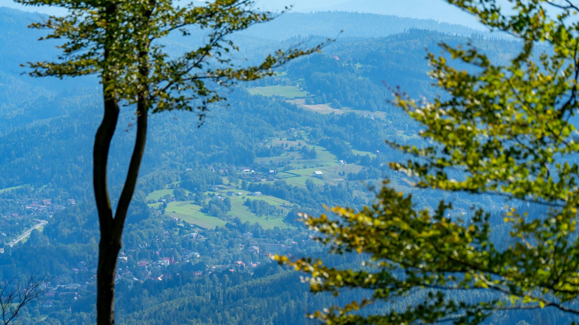 Kolory lata - zdjęcie 24