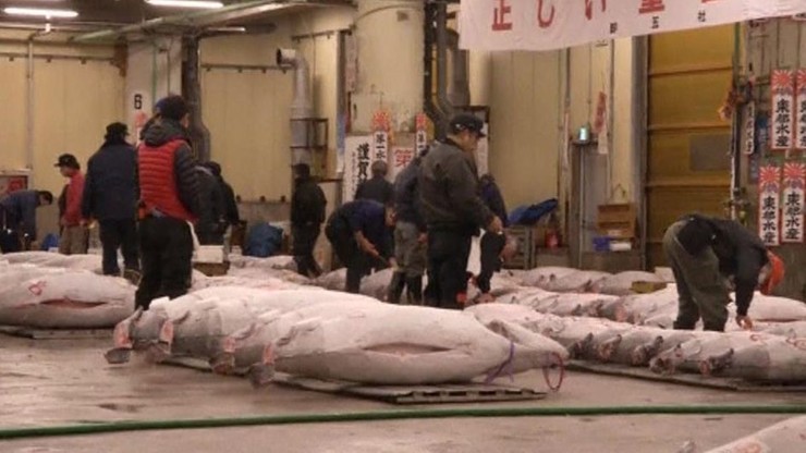 Japonia: 108 tys. euro za tuńczyka na ostatniej noworocznej aukcji na słynnym targu