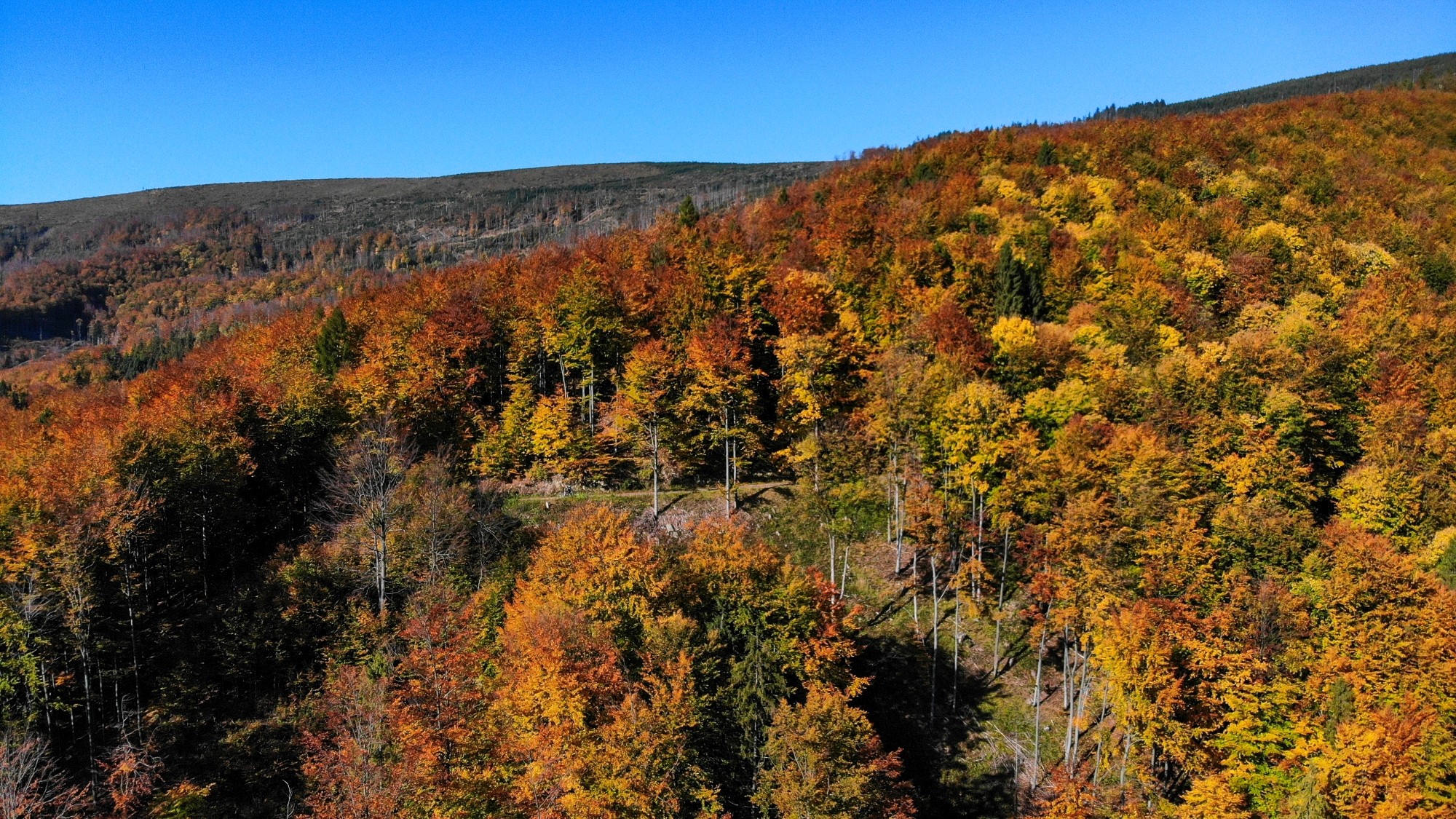 Jesień w górach z lotu ptaka - zdjęcie 10