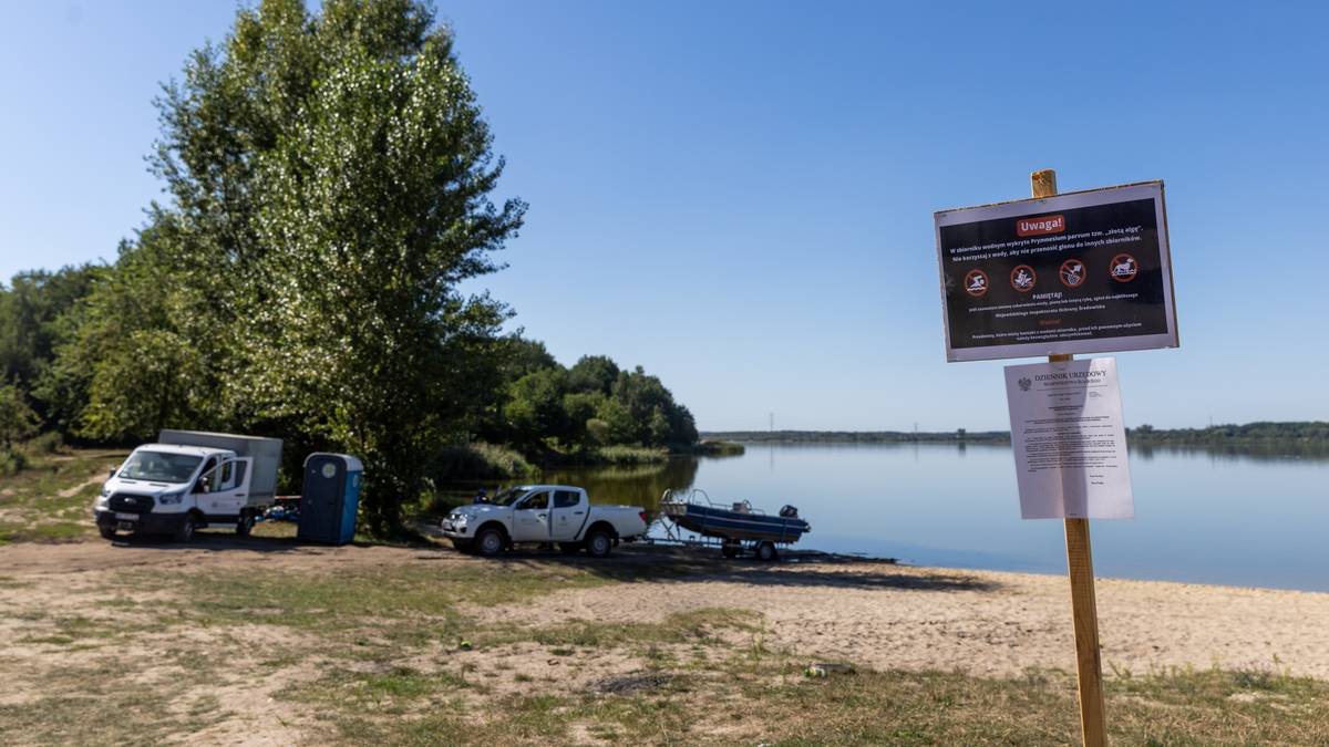 Przełomowe odkrycie polskich naukowców. Znaleźli sposób na złotą algę