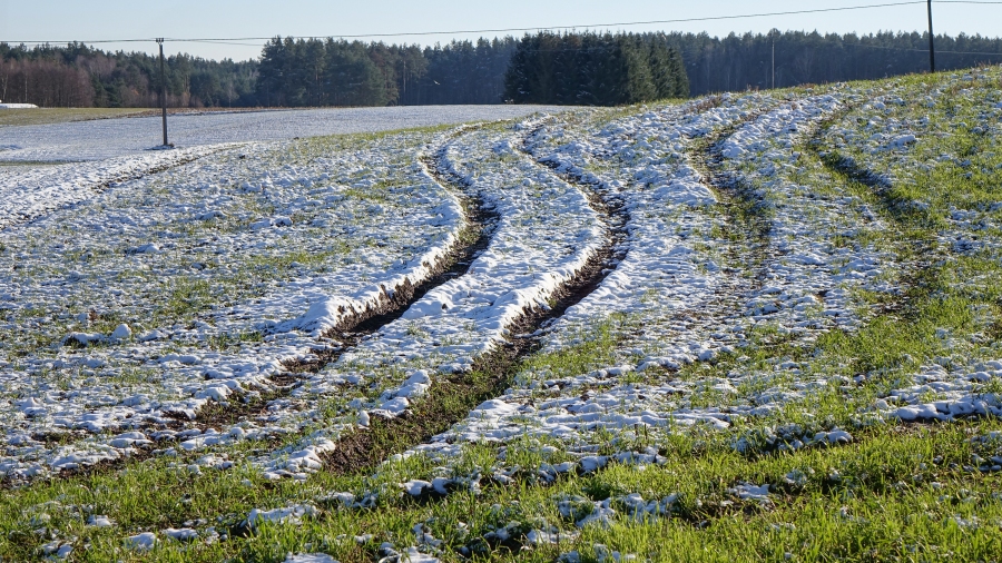 Fot. TwojaPogoda.pl