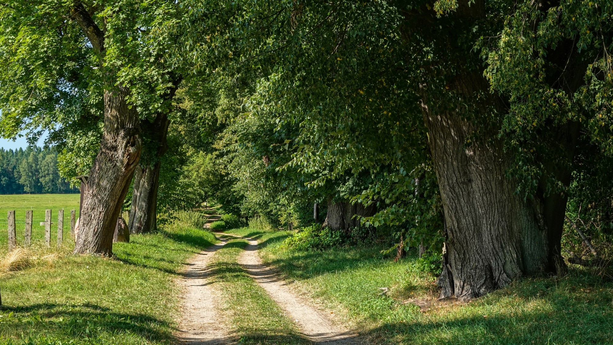 Na pożegnanie lata - zdjęcie 18