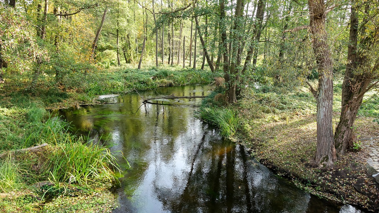 Podróż przez jesienną Polskę - zdjęcie 23