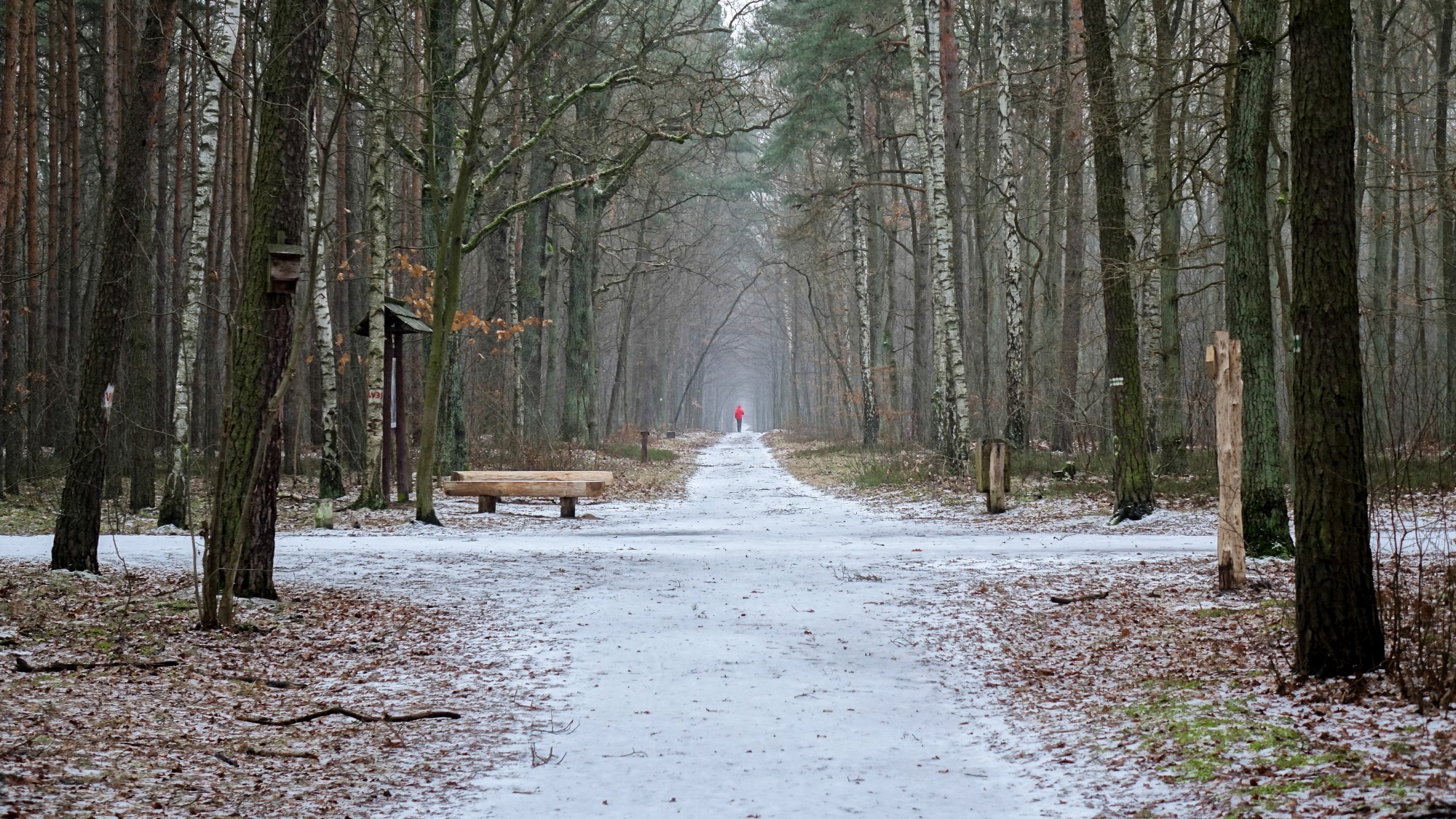 Drogą do raju - zdjęcie 48