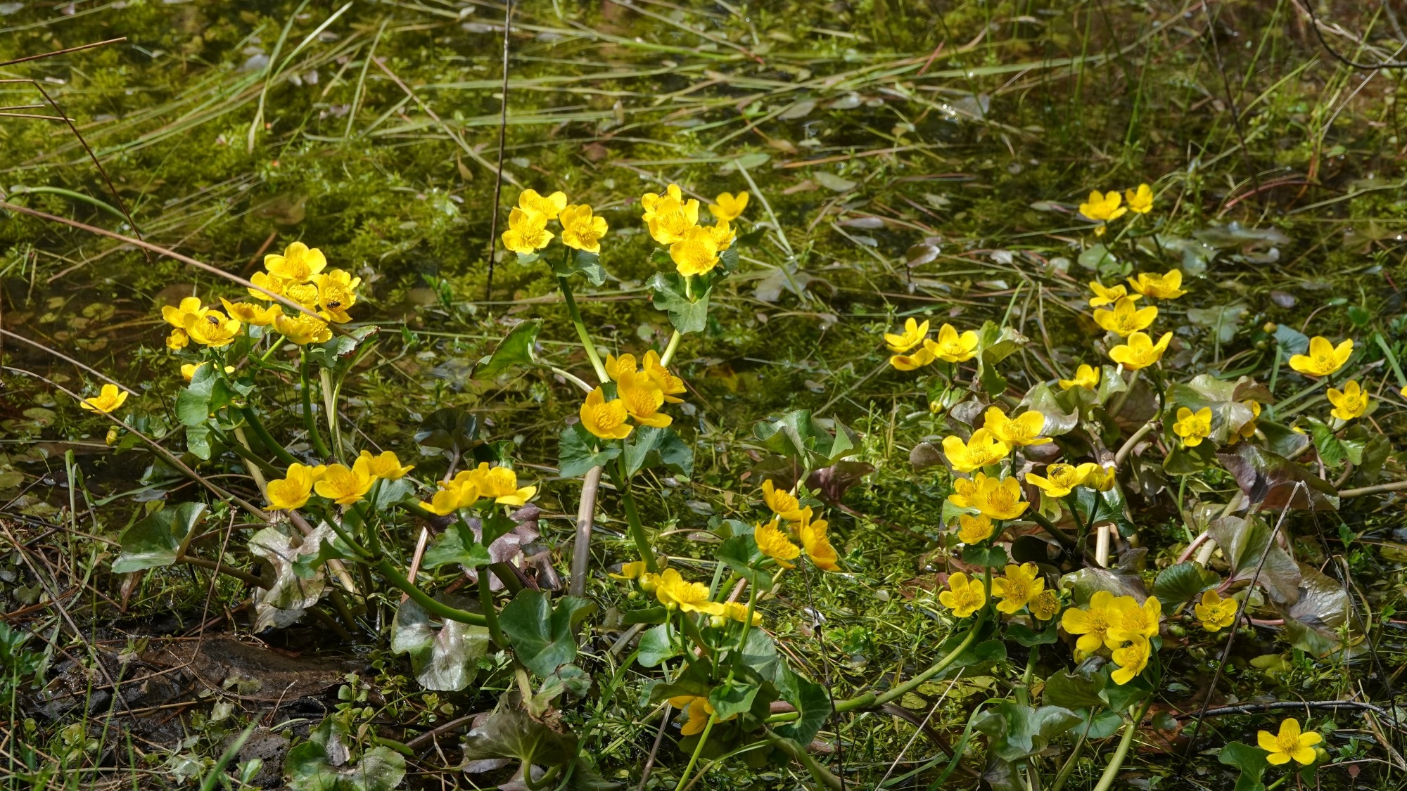 Kwiecień w obiektywie - zdjęcie 49
