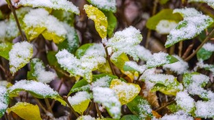 29.10.2022 06:00 Prognoza 16-dniowa: W pierwszej połowie listopada babie lato czy pierwszy śnieg? Sprawdź