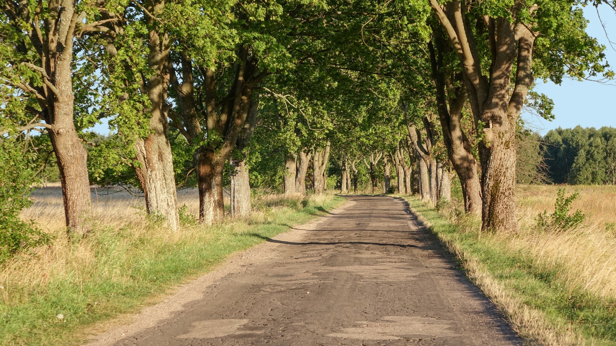 Od morza po góry - zdjęcie 33