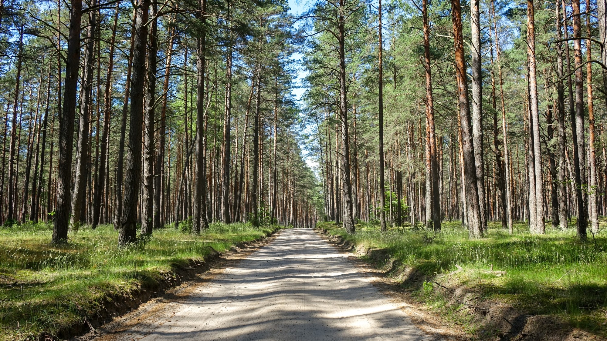 Czerwiec w obiektywie - zdjęcie 36
