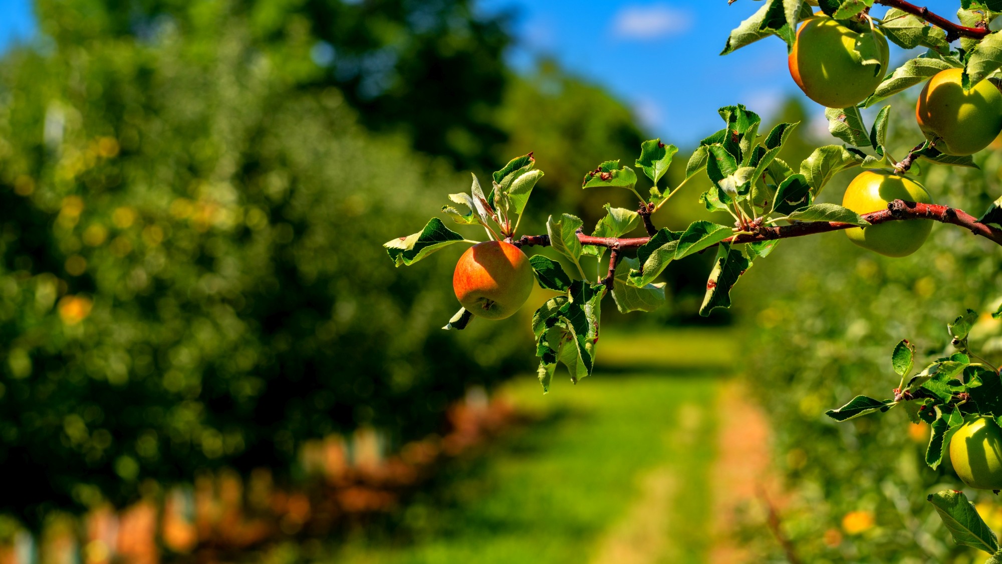 Wśród natury - zdjęcie 14