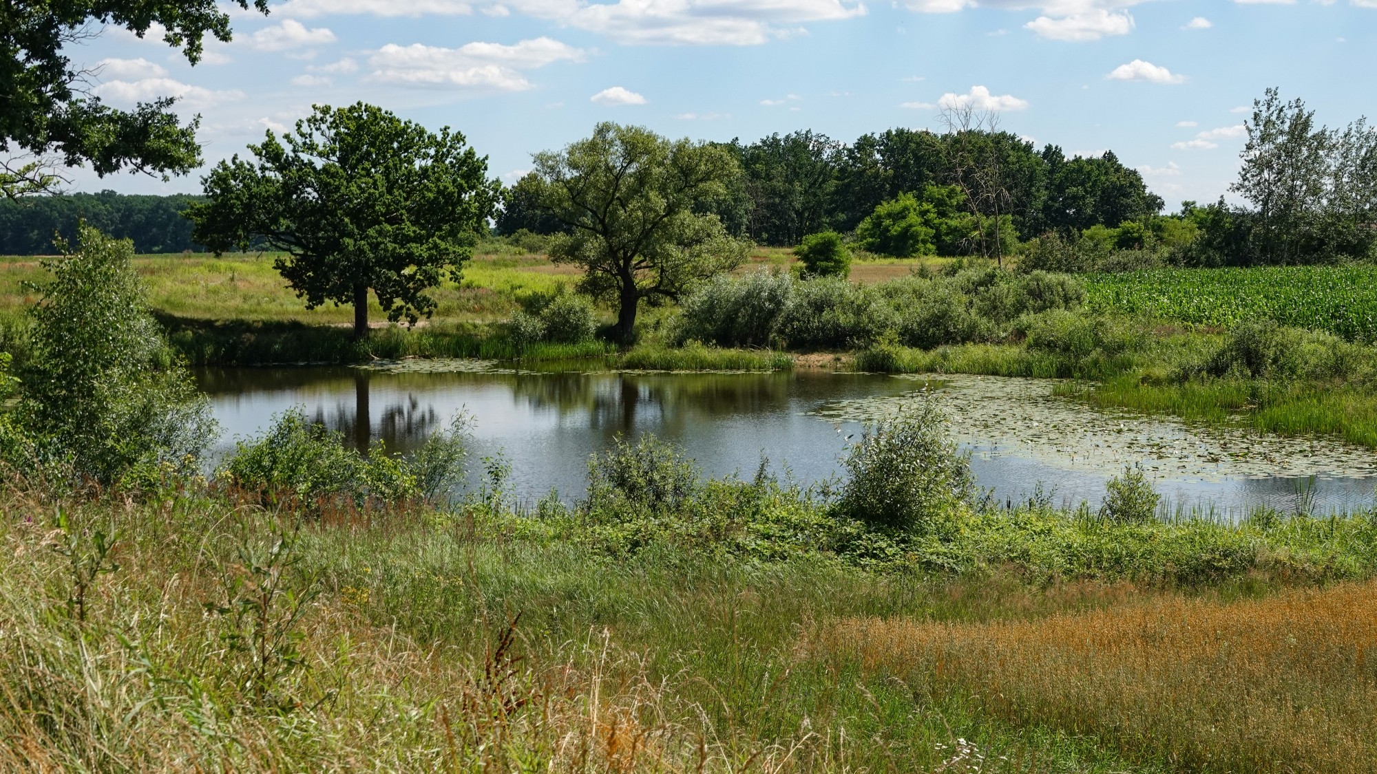 Podróż przez polską prowincję - zdjęcie 33