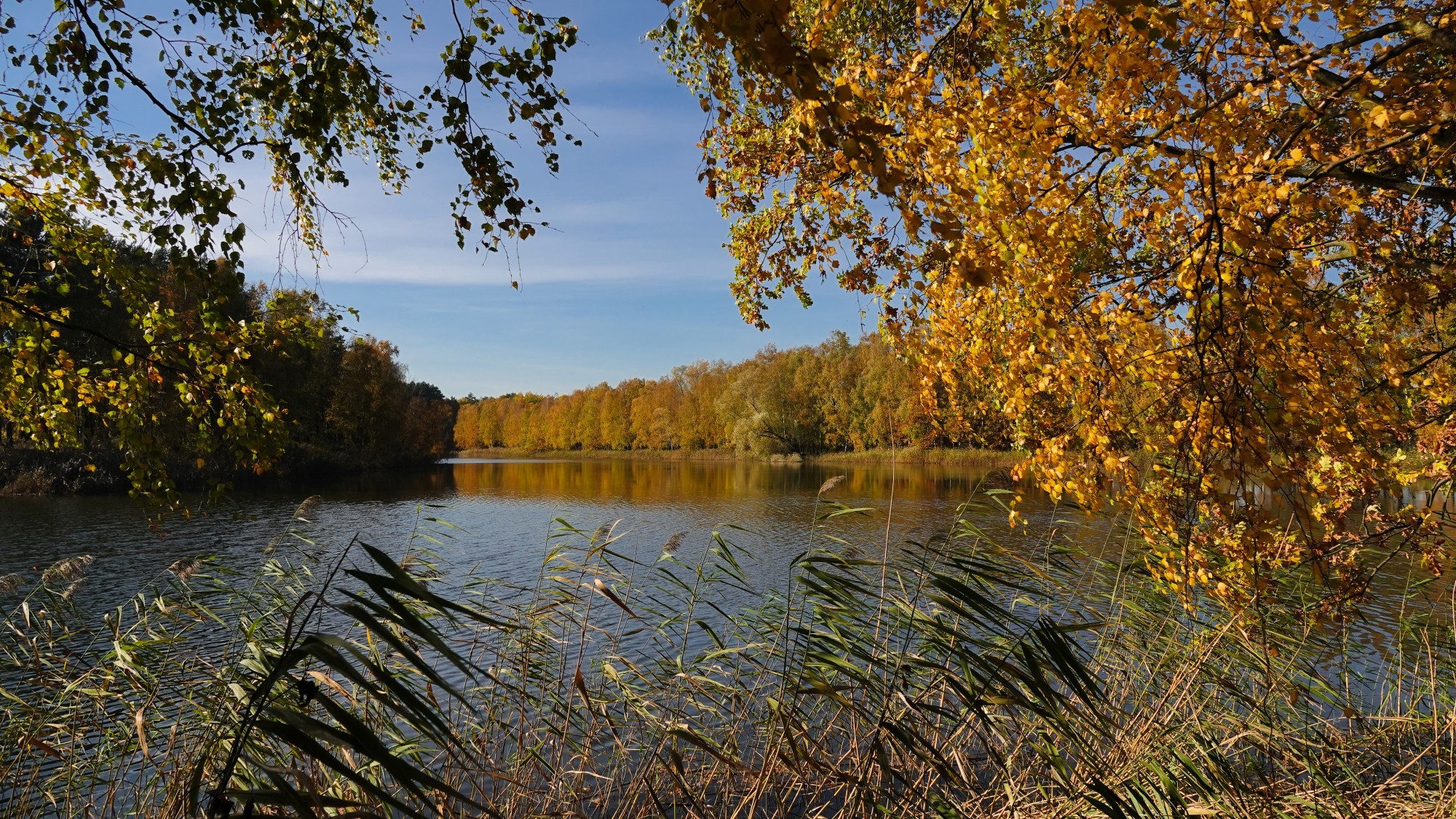 Jesienne klimaty - zdjęcie 38