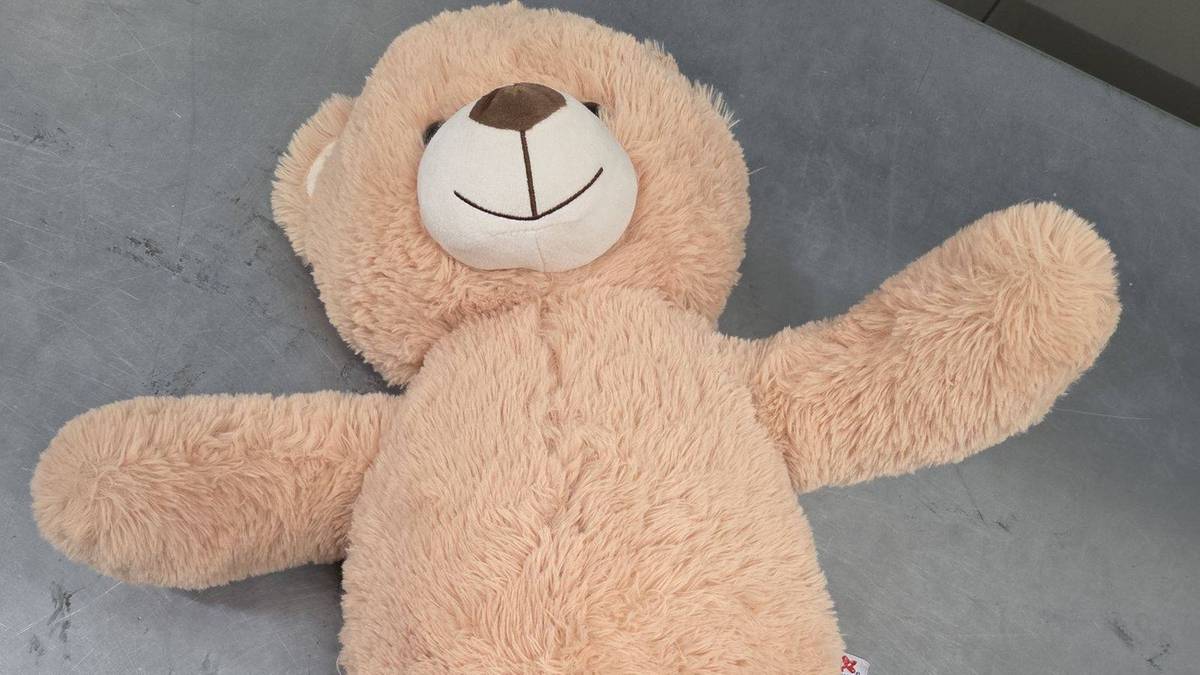 Pluszowy miś o "bogatym" wnętrzu. Nietypowa interwencja policji