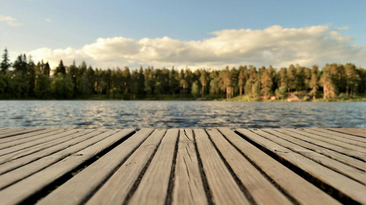 Sinice w wodzie. Wydano oświadczenie