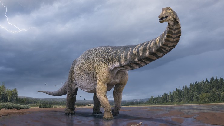 Odkryto nowy gatunek dinozaura. "Wysoki jak dwupiętrowy budynek"