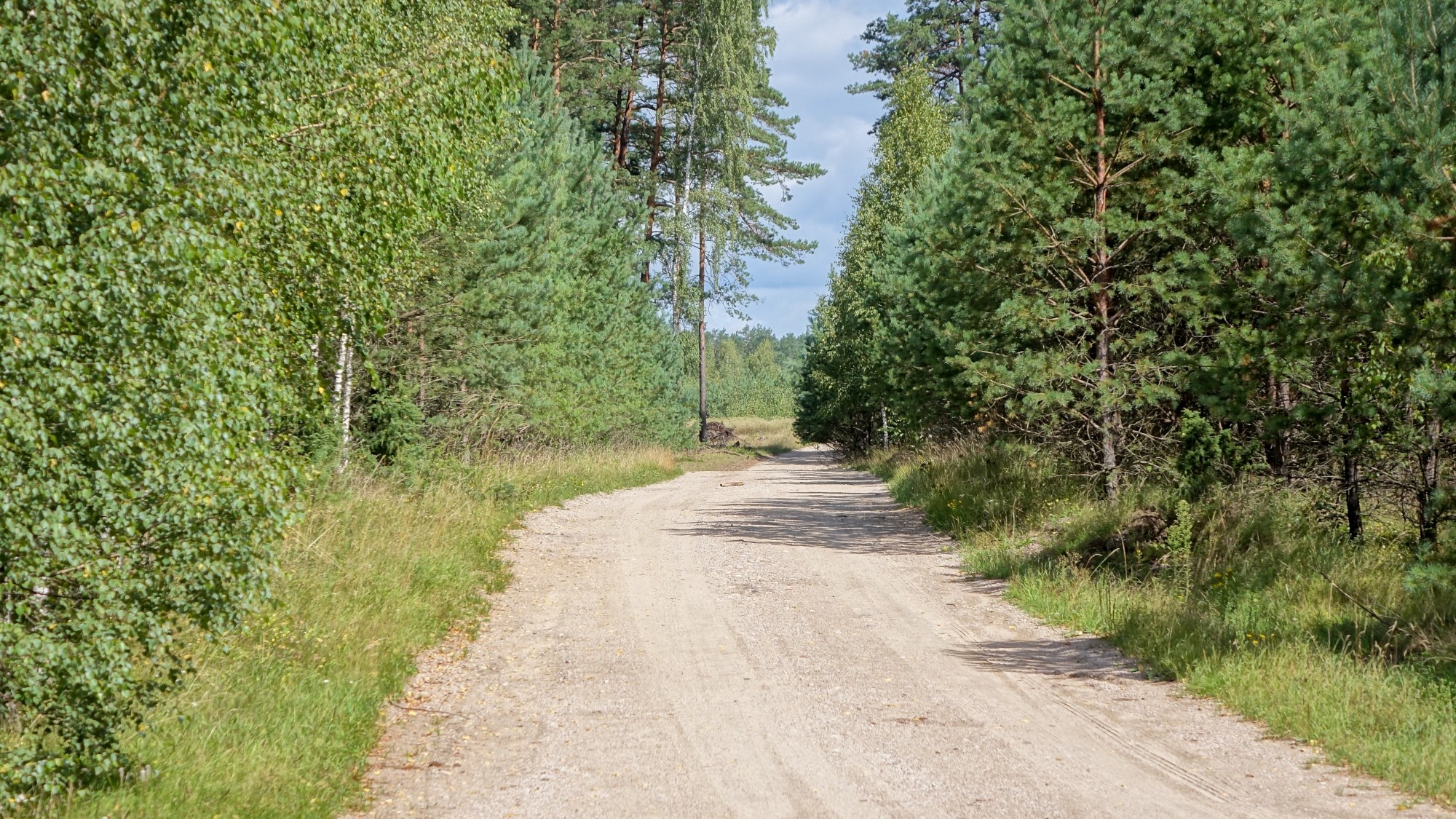 Mazury wiosną - zdjęcie 50