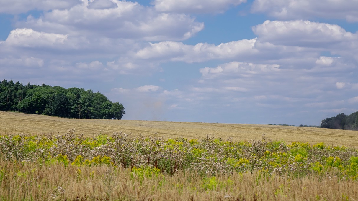 Sierpień w obiektywie - zdjęcie 12