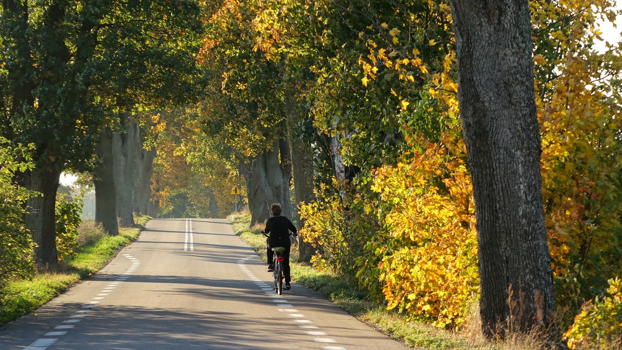 Podróż przez jesienną Polskę - zdjęcie 36