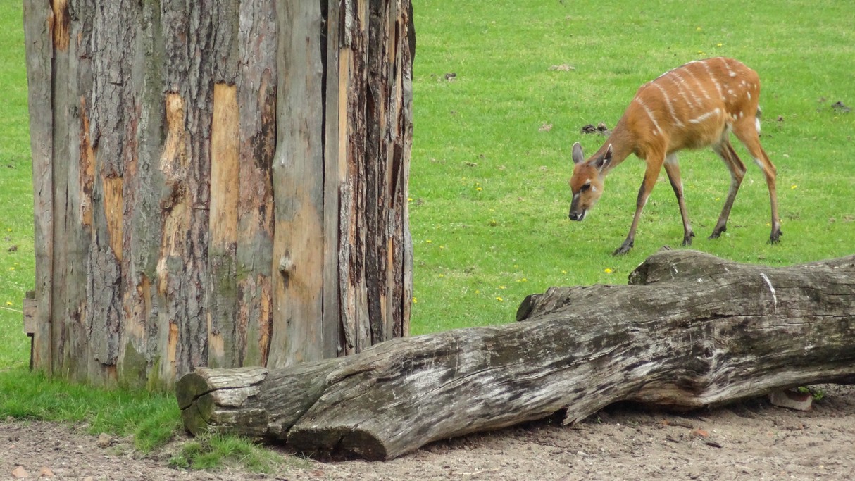 Piękno polskich krajobrazów - zdjęcie 35
