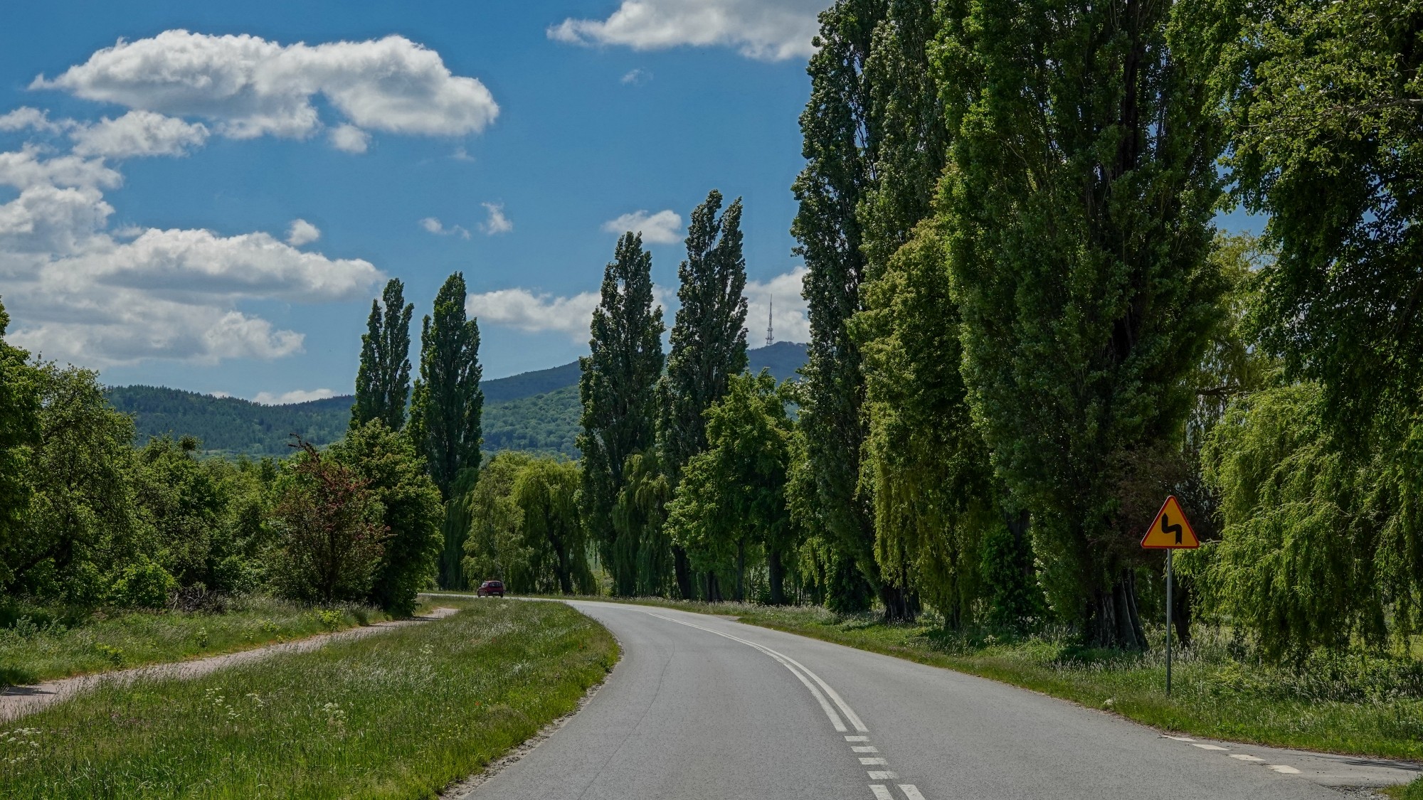 Uroki zielonej pory roku - zdjęcie 52
