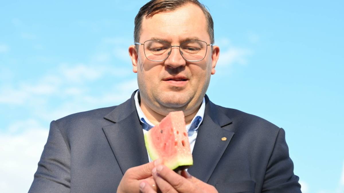 One Month Into EU–Mercosur Deal: Polish Agri-Food Exports to South America Rising