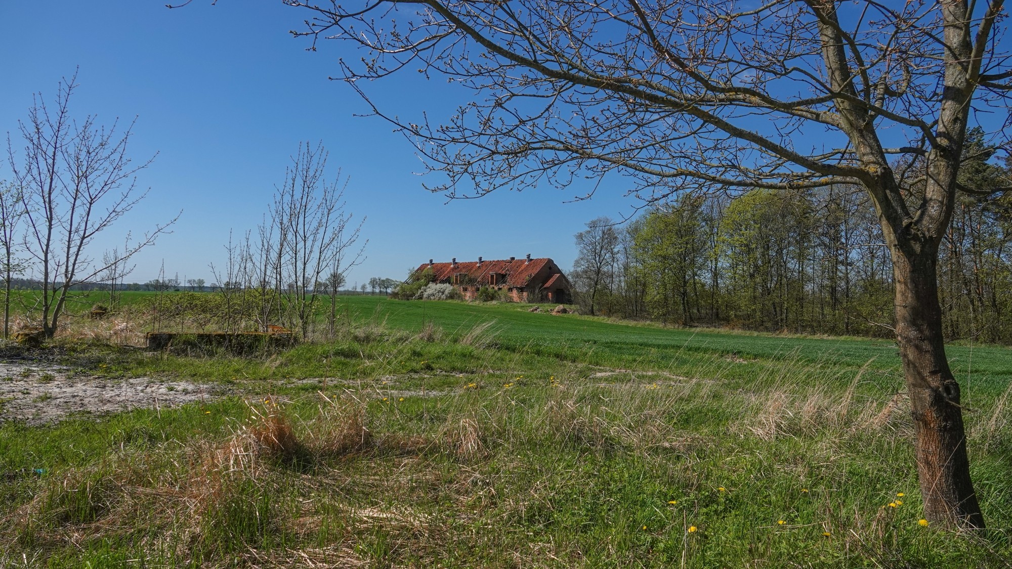 W maju jak w raju - zdjęcie 61