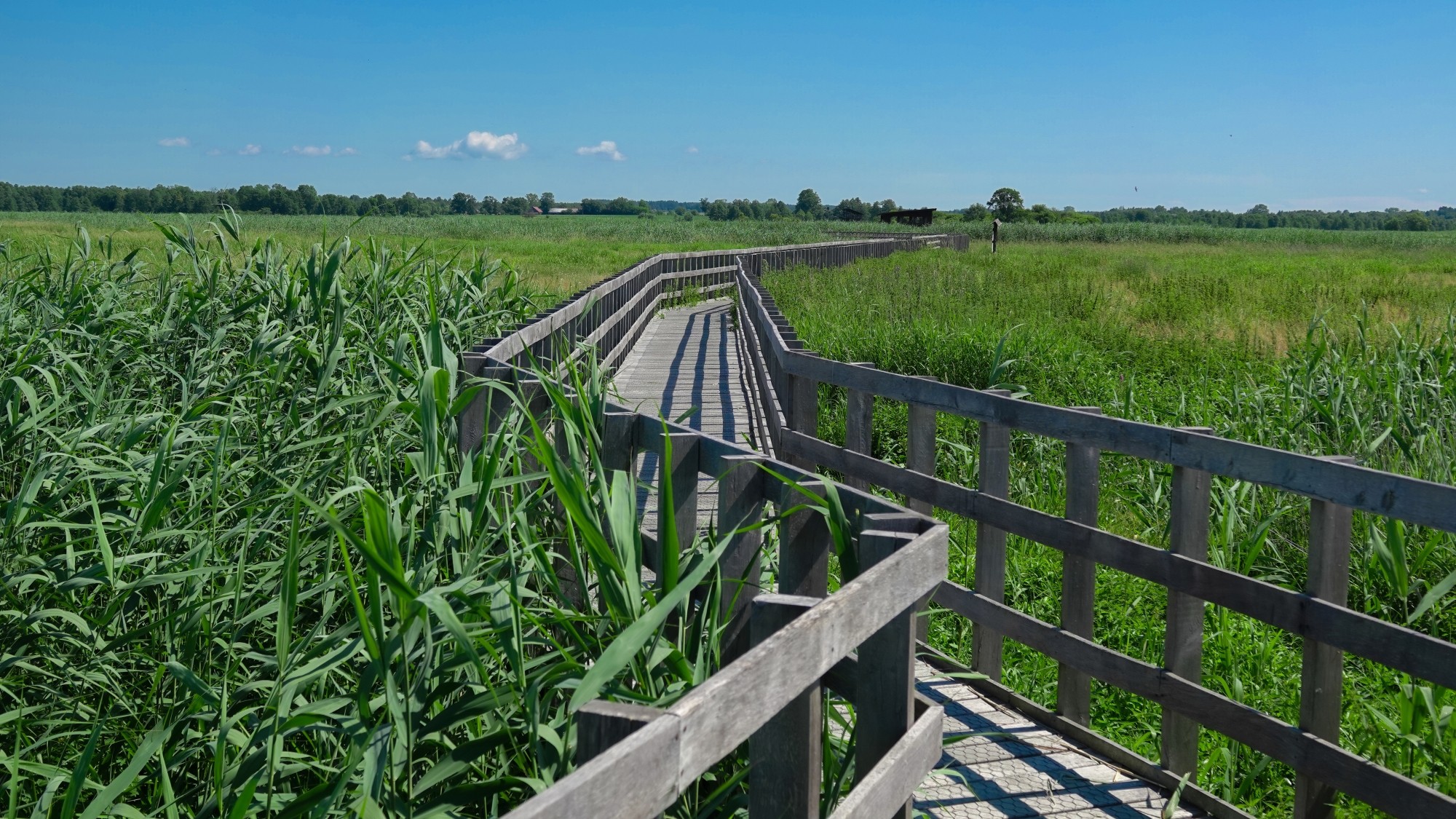 100 najpiękniejszych zdjęć 2021 roku - zdjęcie 84